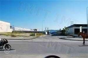 Pergunta IMT: Em que momento deve avançar o veículo de tracção animal.
