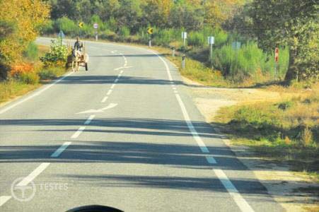 Pergunta IMT: O Código da Estrada sanciona o condutor de um veículo de tracção animal que cause impedimento para o trânsito?