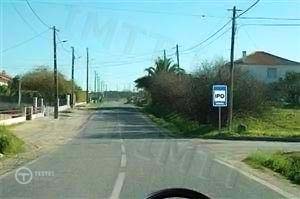 Pergunta IMT: A inspecção periódica obrigatória é efectuada: