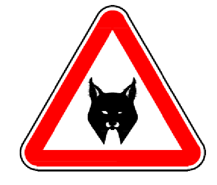 A19c - Linces-ibéricos