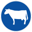 D7D - Pista obrigatória para gado e manada