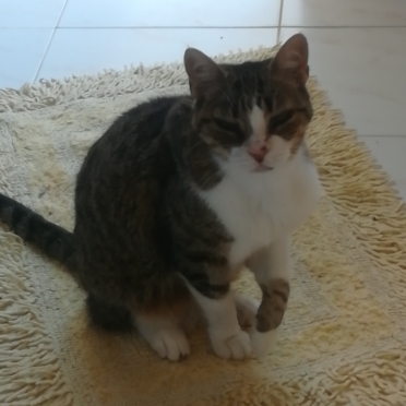 Silvana