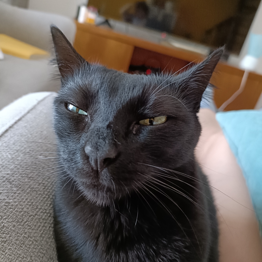 Ludmila