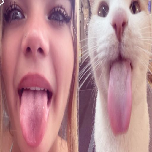 evinha