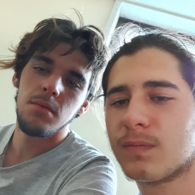 Afonso leal